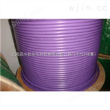 西门子紫色2芯线缆6XV1830-0EH10