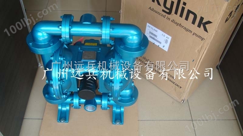 斯凯力泵 SKYLINK隔膜泵 LS40 AA-AA-SP-SP-SP-00