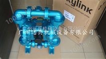 斯凯力泵 SKYLINK隔膜泵 LS40 AA-AA-SP-SP-SP-00
