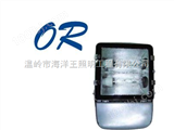 欧司朗光源-海洋王NFC9131节能型热启动泛光灯 NFC9131 海洋王广场灯海洋王节能型热启动
